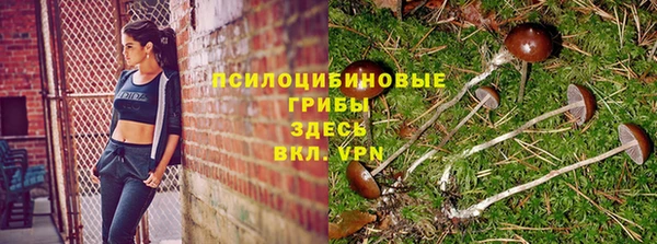 спайс Алексин